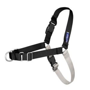 PetSafe Easy Walk Dog Harness Size M/L